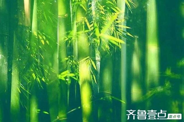 清淡人生怡然自乐