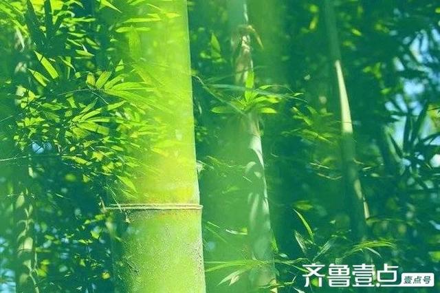 清淡人生怡然自乐