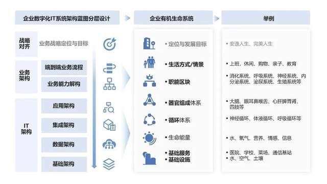 数字实战｜数字化IT建设与企业战略同频，做正确的事