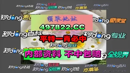 2024澳门资料免费网站大全正版2024，最新全面解释落实_V版76.60.10  第1张