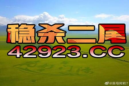 2024澳门特马今晚开奖，最新全面解释落实_The77.96.69  第1张