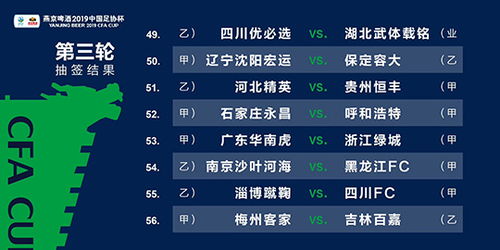 2024澳门精准正版资料，最新正版解释落实_3DM40.79.56