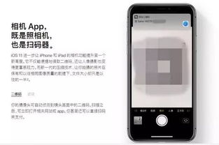 新澳彩资料免费资料大全33图库，绝对经典解释落实_ios11.83.53  第1张