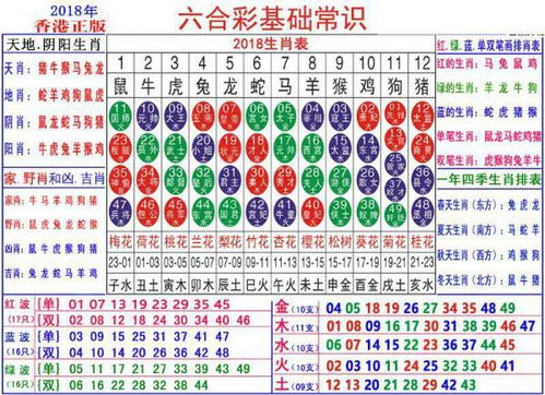 澳门正版资料大全生肖卡，绝对经典解释落实_V55.69.98  第1张