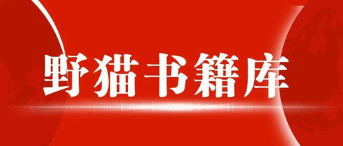 2024年新澳门王中王开奖结果，绝对经典解释落实_V21.37.87