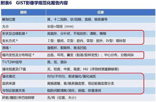 新澳精准预测精准版，绝对经典解释落实_V54.48.18