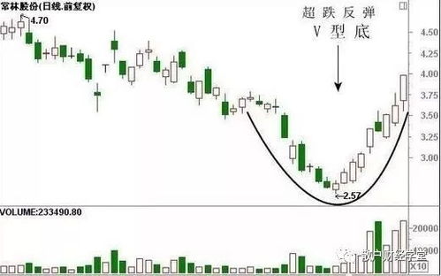 新澳精准预测精准版，绝对经典解释落实_ZOL71.45.69