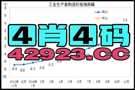 2024新澳免费资料大全，绝对经典解释落实_WP47.62.17  第1张