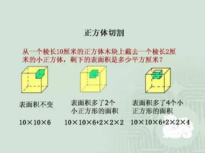 2O24澳门开奖结果王中王，绝对经典解释落实_战略版65.77.80  第1张